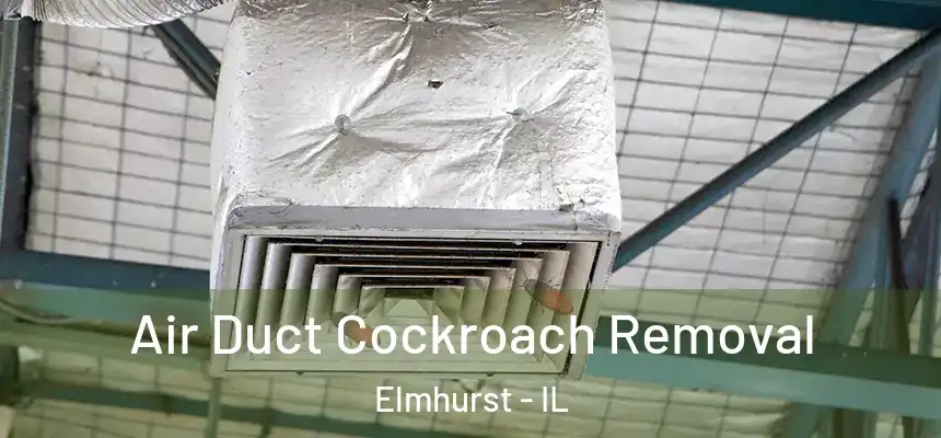 Air Duct Cockroach Removal Elmhurst - IL