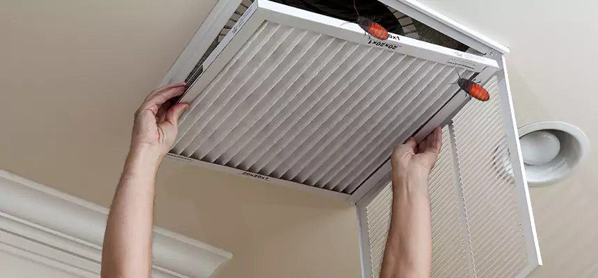Preventive Cockroach-Proofing for Ducts in Elmhurst