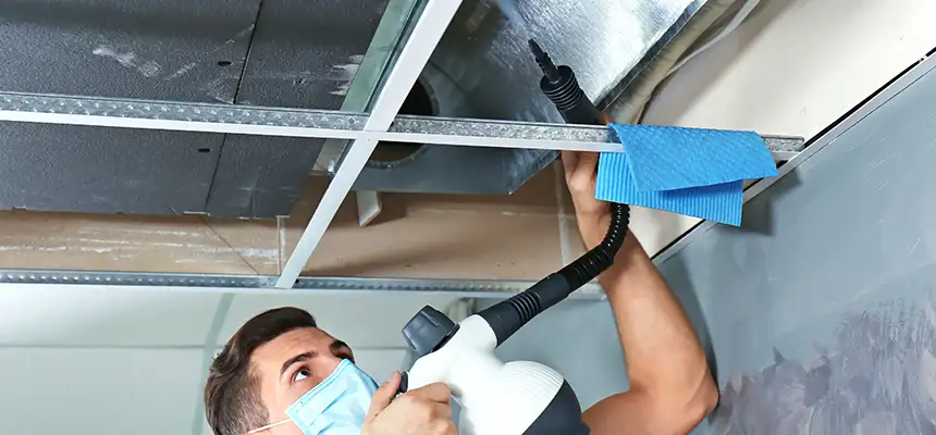 Our Air Duct Rodent Removal Services in Elmhurst, IL