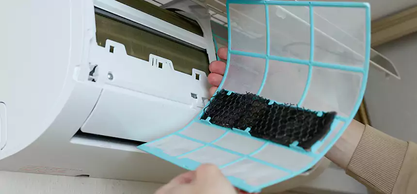 Gentle Ductwork Odor-Control Pet Dander Duct Cleaning in Elmhurst, IL