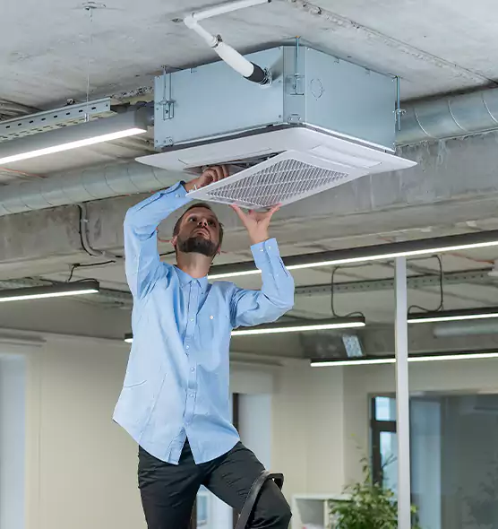 Advanced Rodent Droppings In Vents in Elmhurst, IL