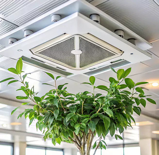 Why Homeowners & Businesses Trust Us in Elmhurst, IL?