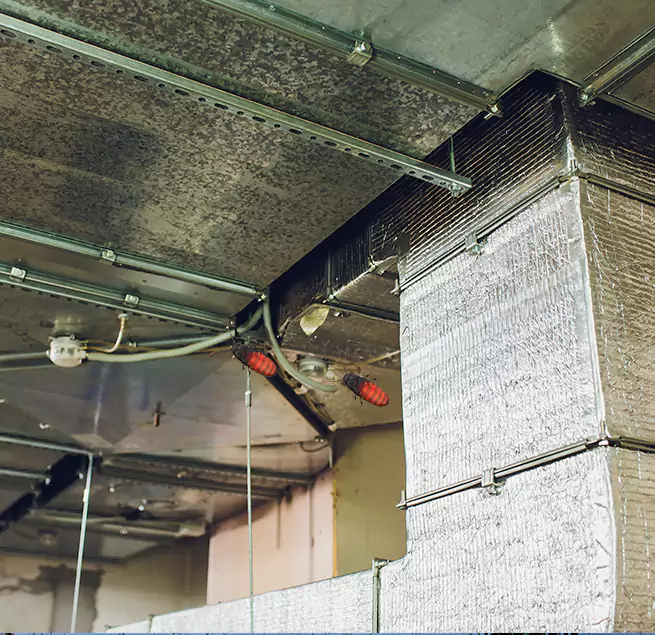 Why Homeowners & Businesses Trust Us Elmhurst, IL?