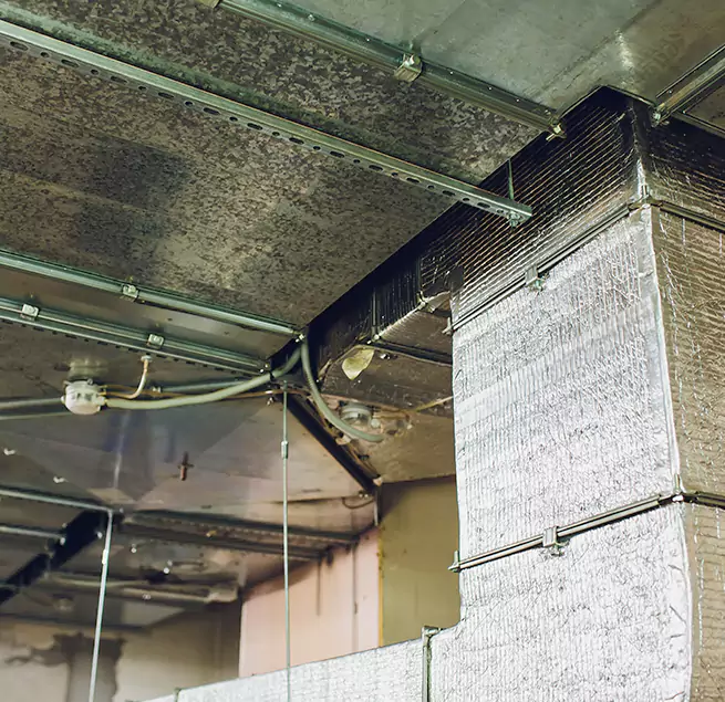 Why Homeowners & Businesses Trust Us in Elmhurst, IL?